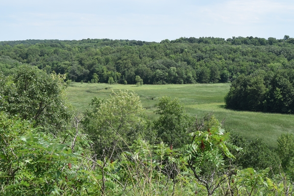 Seeking Landowners to Protect Wetlands