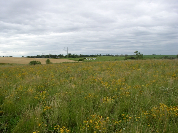 Farm Bill Biologist Partnership Surpasses 17,000 Acres