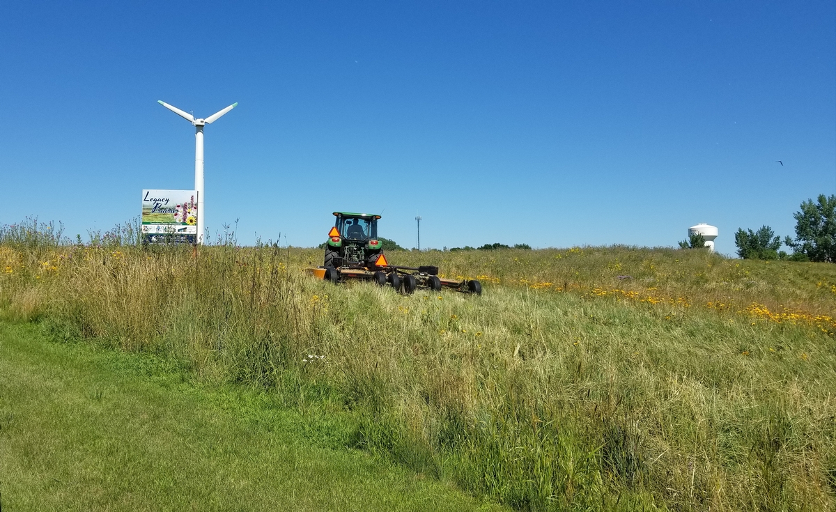 MSCTC Mowing