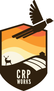 CRP